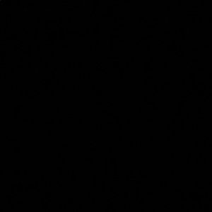 Meet your Posher, Tanner